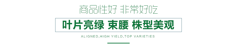 1557820914587241.jpg 詳情頁12.jpg