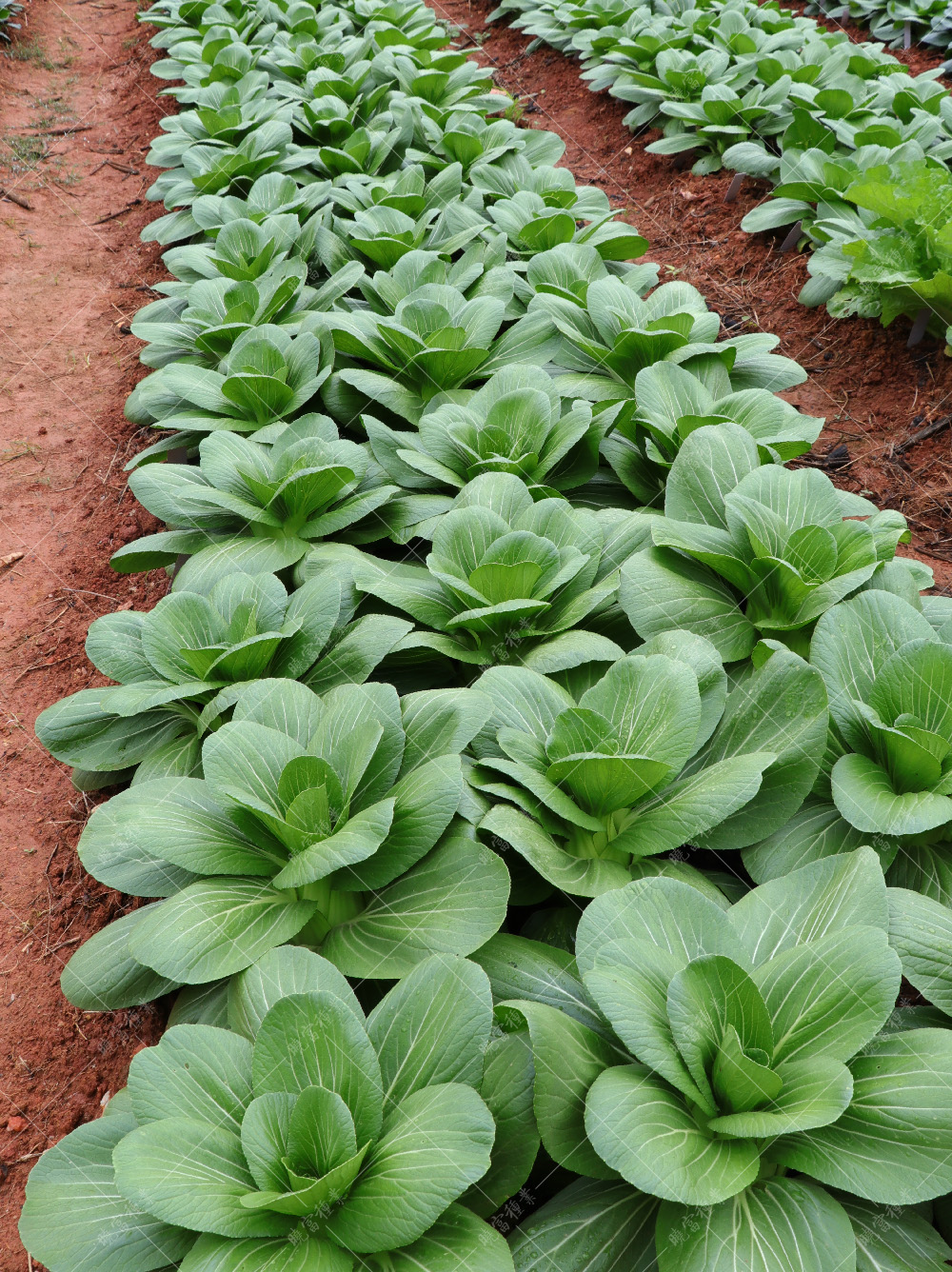 1557883419774667.jpg IMG_4149.jpg