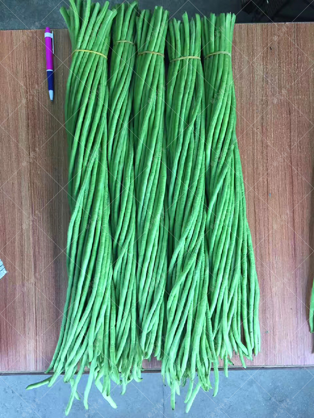 1557993255754433.jpg 52.jpg