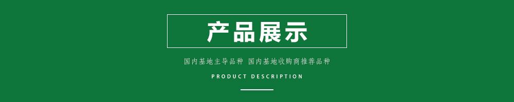 1558056932105529.jpg 00新產(chǎn)品.jpg