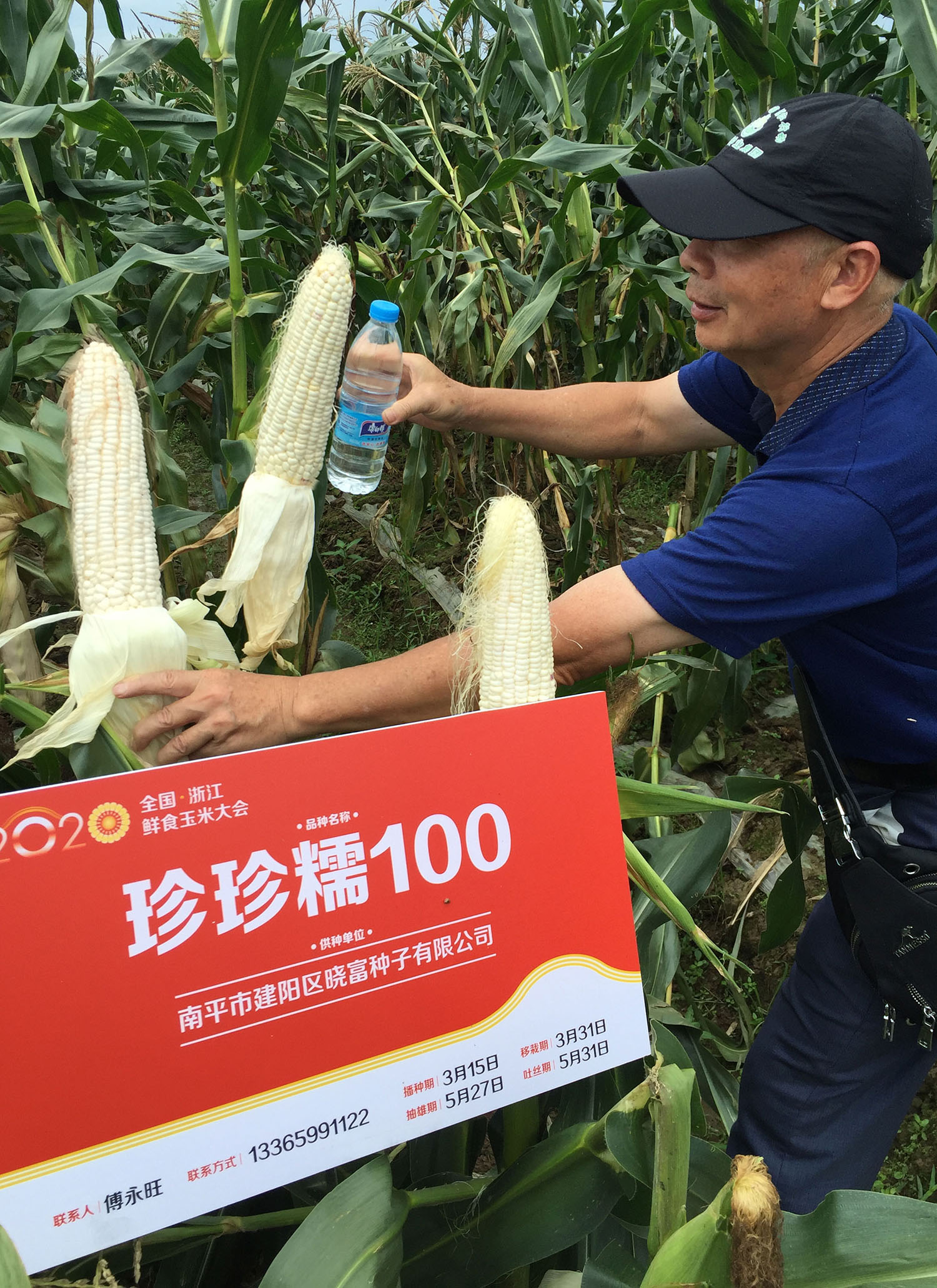 1594542986715063.jpg 2.jpg