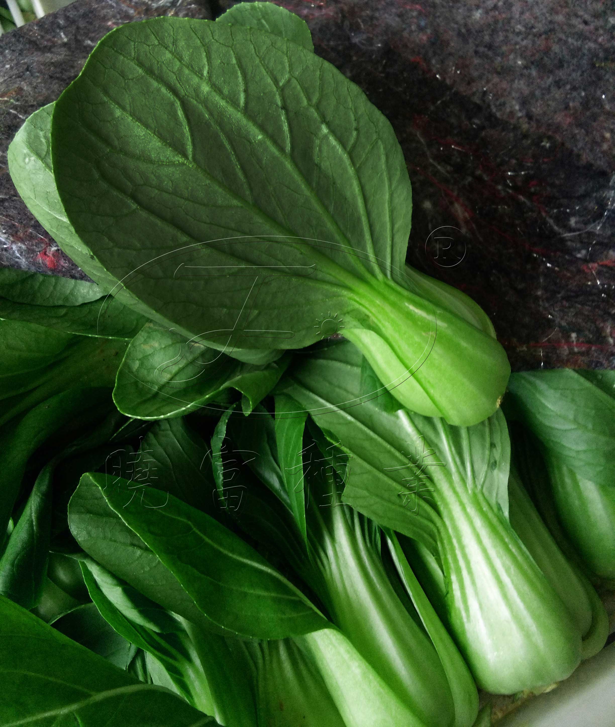 1600247035444969.jpg 02.jpg