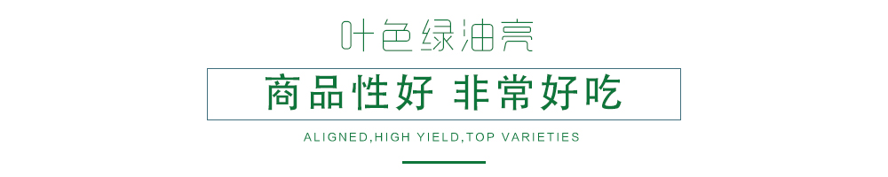 1600247113609187.jpg 07.jpg