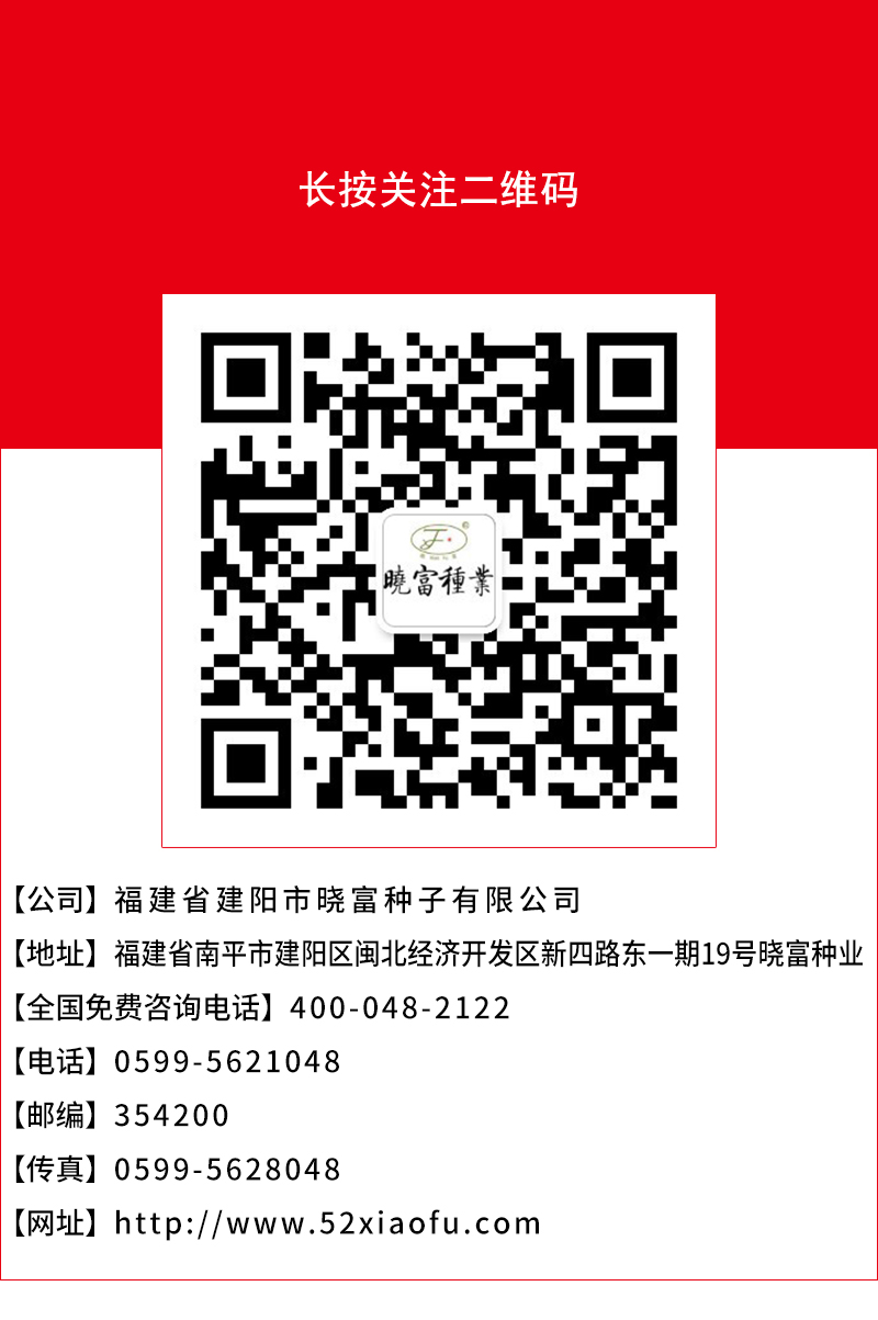 1600502824125002.jpg 頁底.jpg