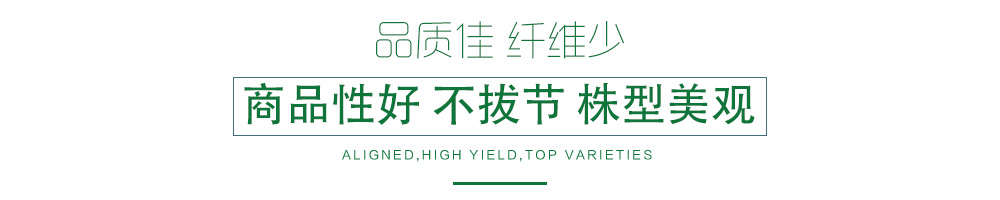 1602147996892921.jpg 07.jpg