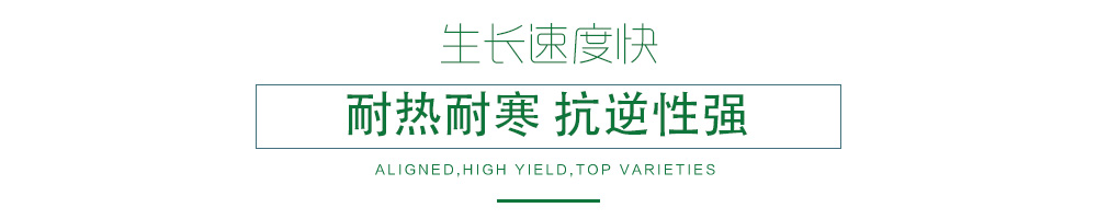 1602151183110469.jpg 03.jpg